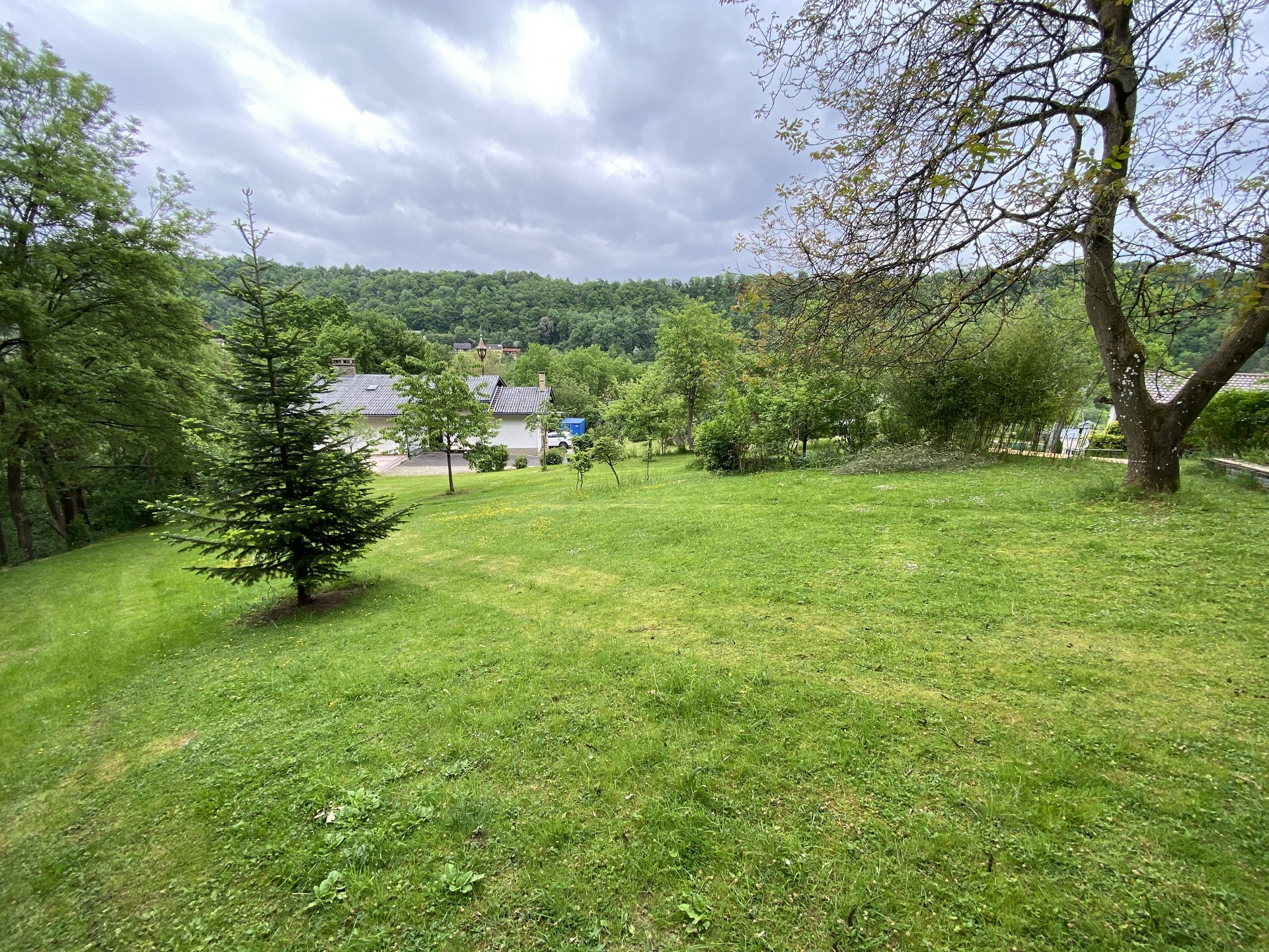 image00003.jpeg